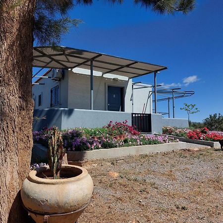 Pounta Apartments Vinglafia Bagian luar foto