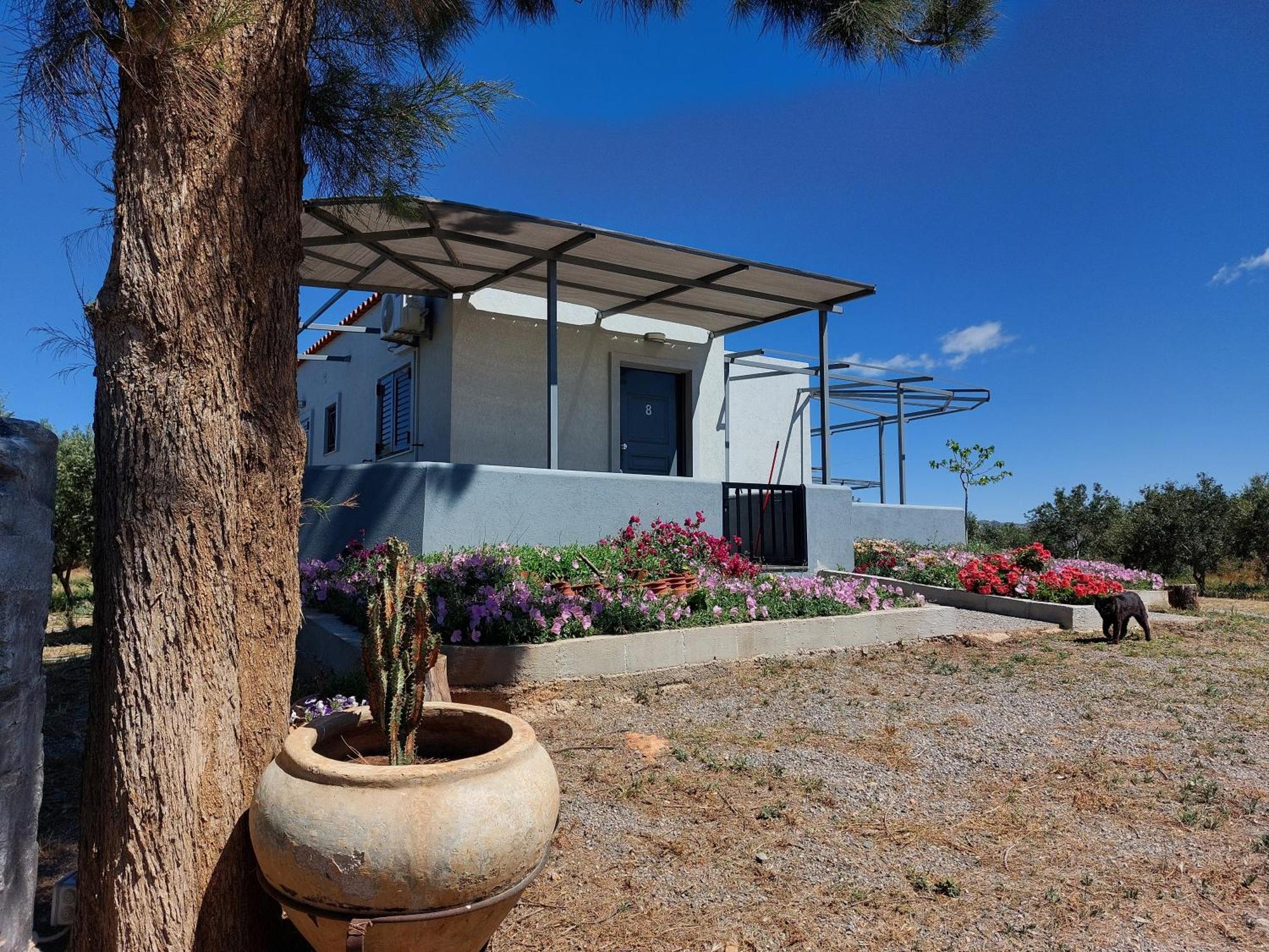 Pounta Apartments Vinglafia Bagian luar foto
